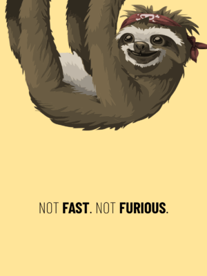 Liebevoll frotzelige Humor-Klappkarte mit dem Text "Not fast. Not furious" mit der Abbildung eines Faultiers.